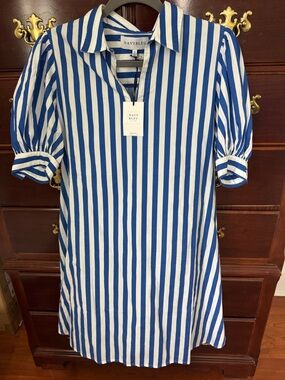 Blue & White Striped Shirt Dress